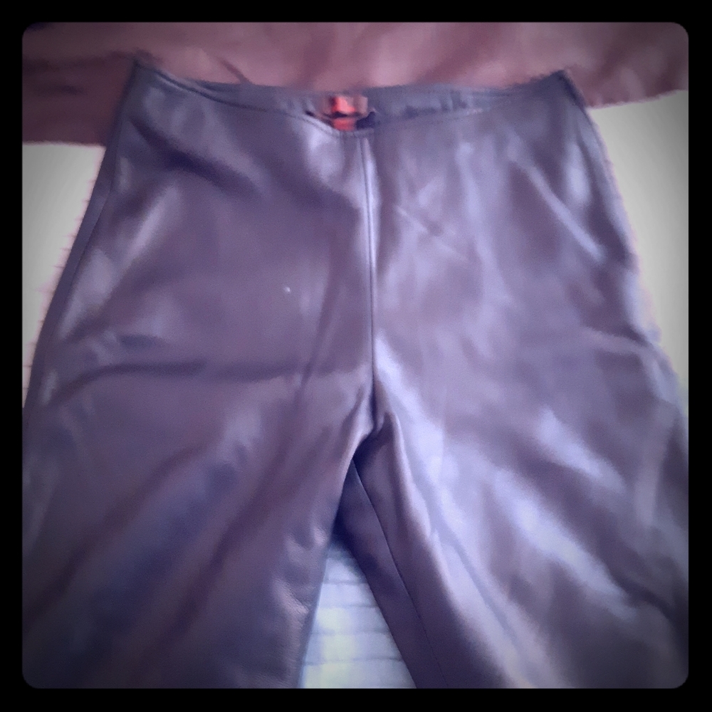 Danier Leather Pants